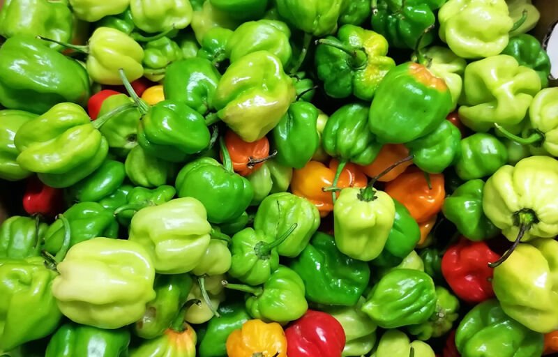 Flambée des prix des denrées au Bénin : Le piment frais en tête selon l'Instad
