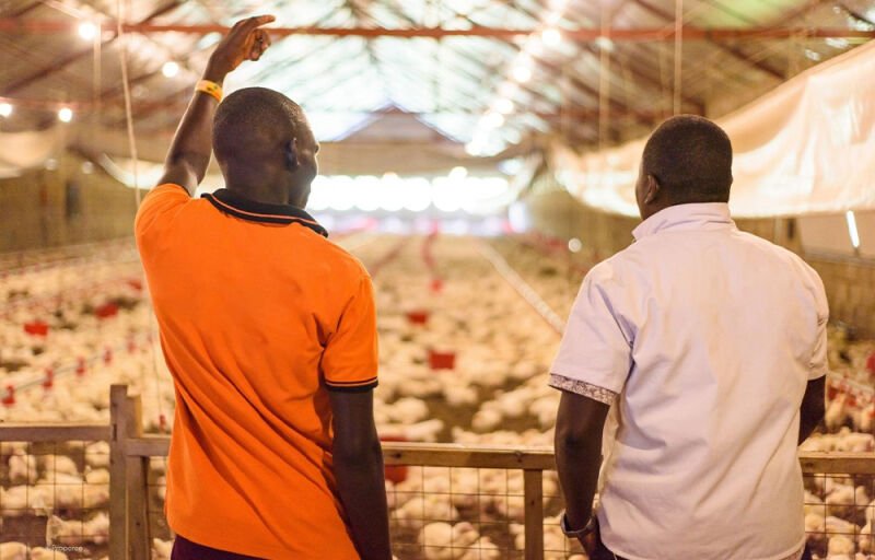 Soutien aux PME : Le Bénin adopte un plan décennal pour changer d’échelle