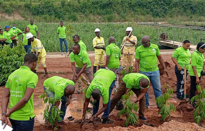 Journée de l’arbre : La SGDS mise sur 244 gestes durables à Abomey-Calavi