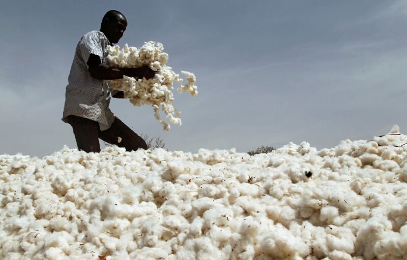 1er trimestre 2025 : 73.114 tonnes de coton exportés par le Bénin