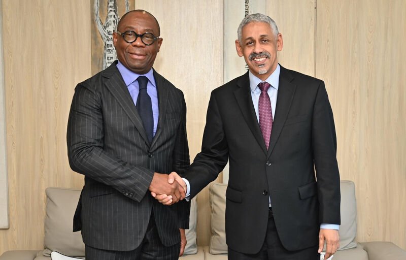Développement durable en Afrique de l’Ouest : La BOAD et la BAD renforcent leur partenariat