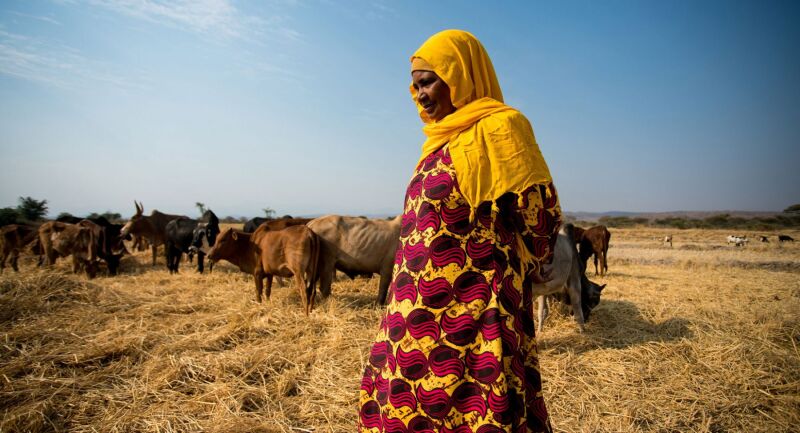 Lutte contre la faim : les Etats-Unis élargissent Feed the future à huit nouveaux pays africains
