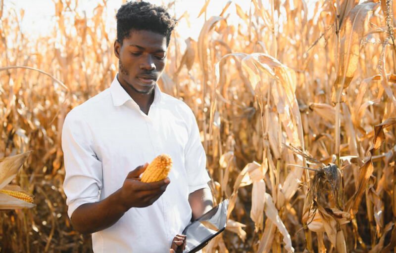 Bénin : Le gouvernement accorde de nouvelles facilités aux Pme agricoles