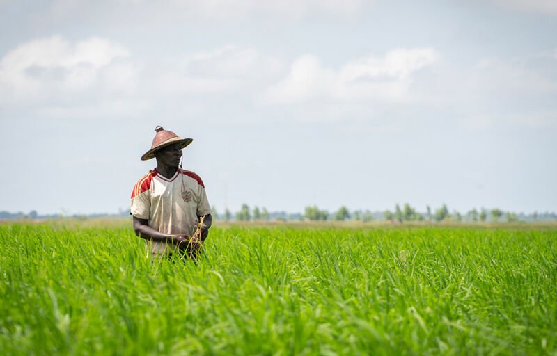Croissance économique du Bénin estimée à 6,4% en 2023 : une contribution du secteur primaire à 1,4 point