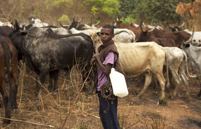 Veille pastorale au Bénin : Le gouvernement procède à la relecture des modalités de son exercice