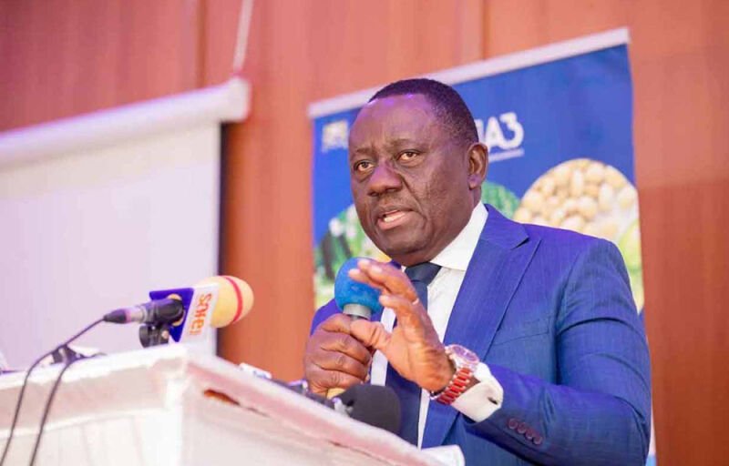Agro-économie : Le Bénin a produit près de 2 millions de tonnes de maïs en 2023