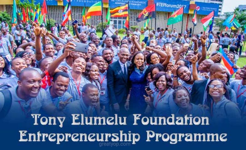 Entreprenariat : la Fondation Tony Elumelu lance son programme annuel de formation des entrepreneurs