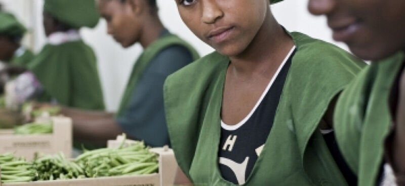 Bénin: La croissante employabilité des femmes dans le secteur industriel