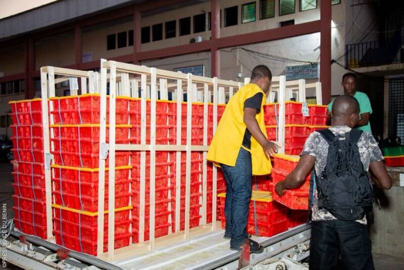 Bénin : les aviculteurs bénéficient de 38.000 poussins importés