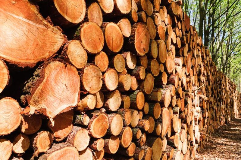 Bénin: La Sonab en substitut à l’Onab