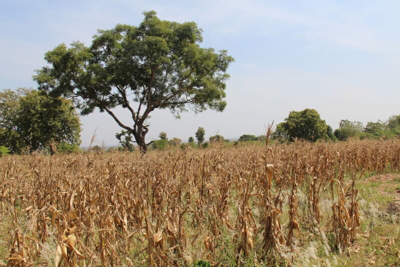 Bénin: 5,5 milliards de francs Cfa pour une meilleure résilience climatique