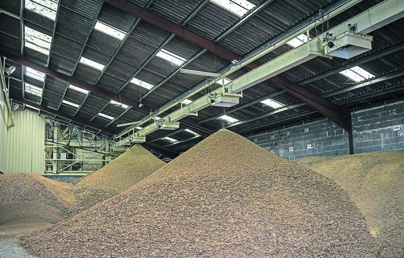 Soja organique : la GDIZ atteindra 600.000 tonnes de capacité de transformation par an en 2024