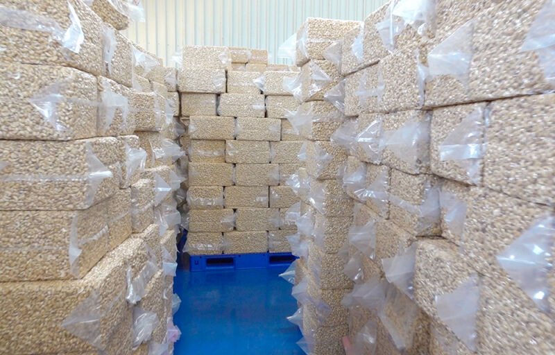 Transformation de la noix de cajou à la Gdiz : Déjà 5 unités fonctionnelles pour absorber la production locale