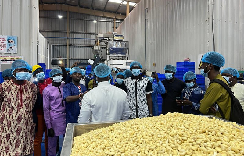 Transformation agricole au Bénin : la deuxième vague des producteurs agricoles du Zou à la GDIZ