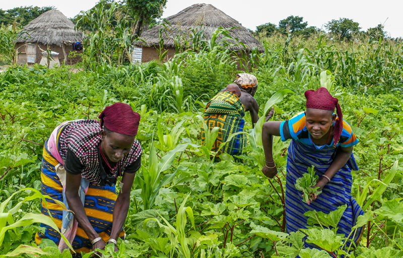 Sécurité alimentaire : le Bénin financé à hauteur de 150 millions de dollars