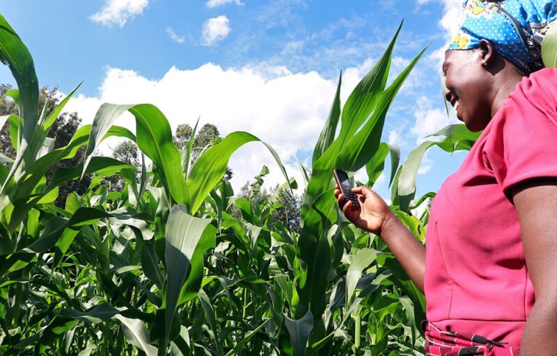 Soutien aux petits exploitants : Le Bénin lance un projet d’assurance agricole