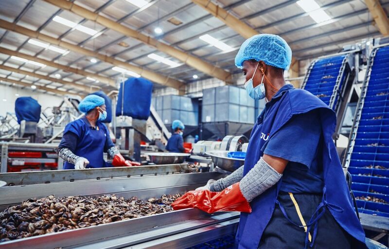 Nouveau souffle industriel au Bénin : Des pôles économiques régionaux pour booster l’agro-industrie et l’emploi local
