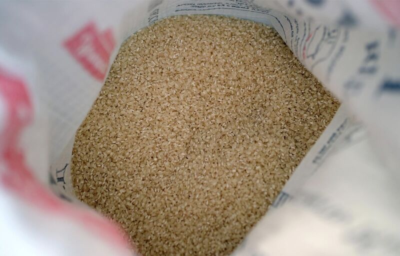 Production céréalière au Sénégal : Le gouvernement suspend les importations de riz