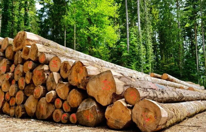 Exportations de bois : Le Nigeria annonce une interdiction