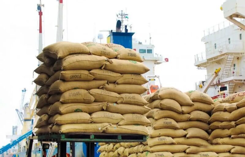 Sécurité alimentaire en Afrique : Quatre produits de base au centre de la dépendance et des défis logistiques