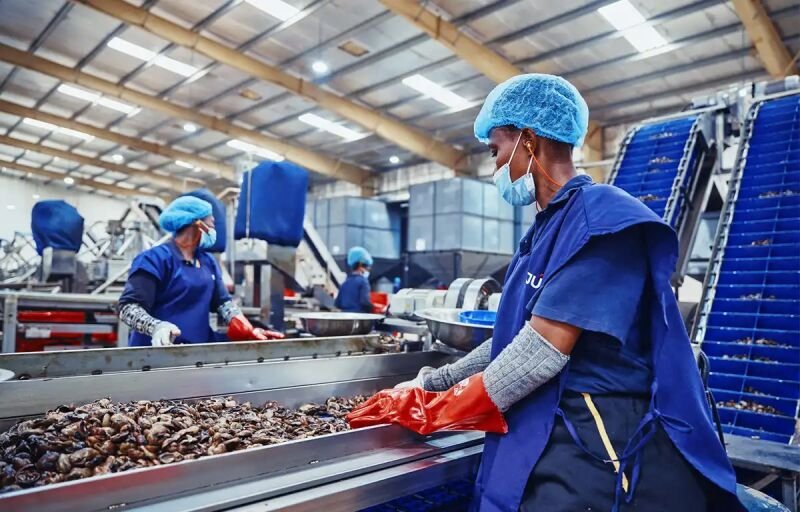 Économie nationale : L’industrialisation s’affirme comme moteur de la croissance
