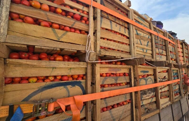 Burkina Faso : Suspension de l'exportation de tomates fraîches
