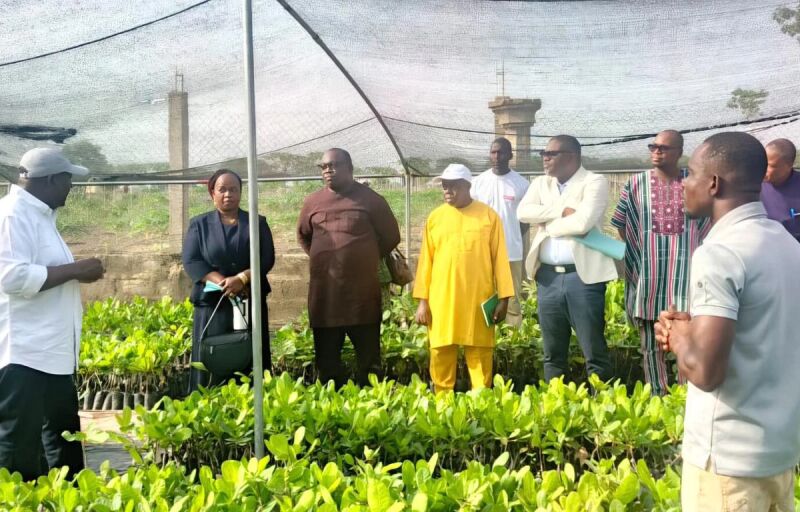 Campagne agricole 2026-2027 : Le Bénin mise sur performance, assurance et protection sociale
