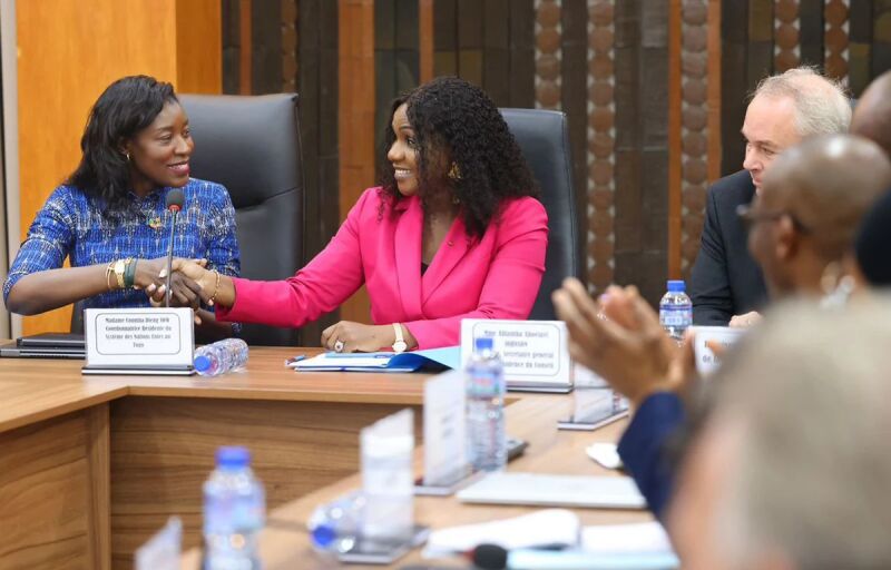 Feuille de route gouvernementale 2026-2031 : Le Togo consulte ses partenaires